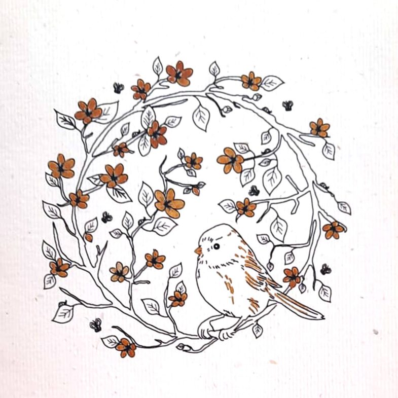 Illustration